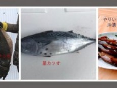 旬高級魚3点セット(税込み、送料別)