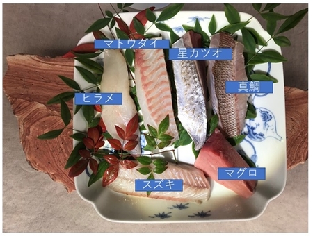 天草わくわく旬魚刺身づくしさく(5～6人前)　価格は送料・税込みです。魚種は季節により変わります。