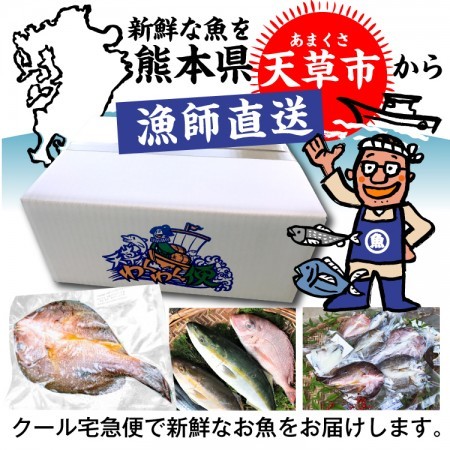 タチ魚大2kg　価格は1匹単価です　(税込)