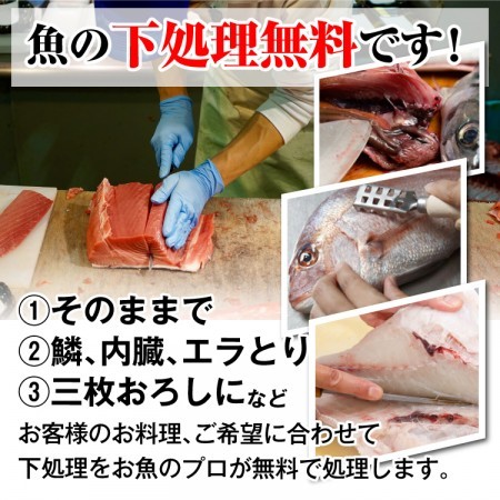 天然真鯛　3800円/2kg相当(送料・税込み)　数量限定特別価格