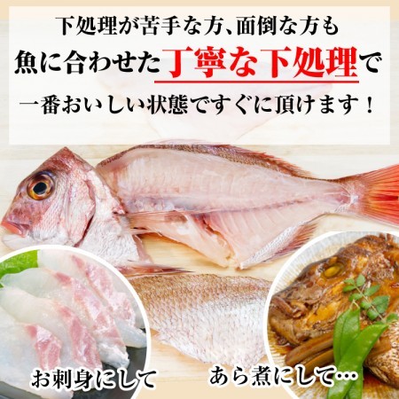 ”タチ魚”　1,000円/kg (税込)